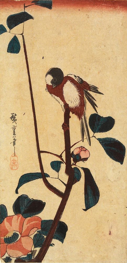 Japanese Tit on Camellia Branch. Original from the Minneapolis Institute of Art.
