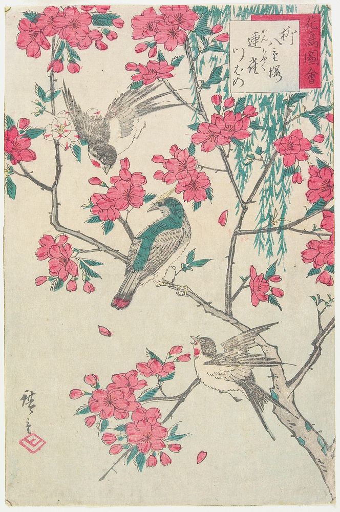 Willow, Cherry Blossoms, Sparrows and Swallow. Original from the Minneapolis Institute of Art.
