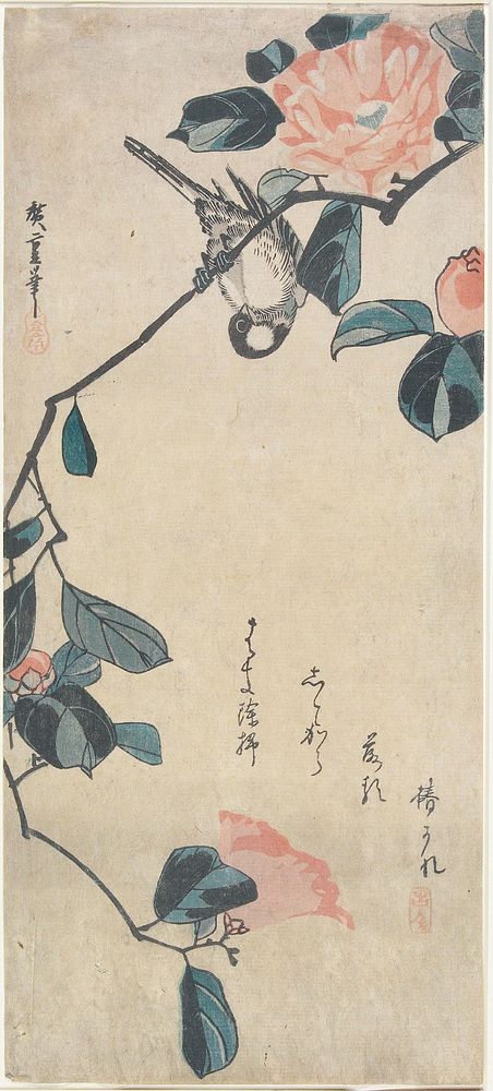 Camellia and Bullfinch. Original from the Minneapolis Institute of Art.