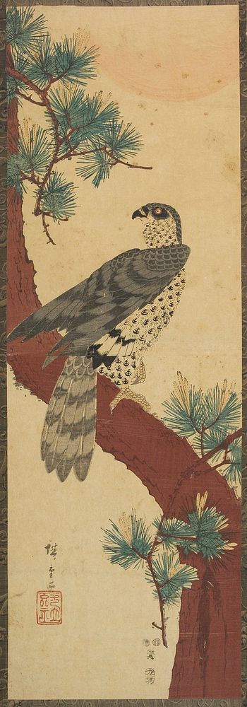 Falcon, Pine, and Sun. Original from the Minneapolis Institute of Art.