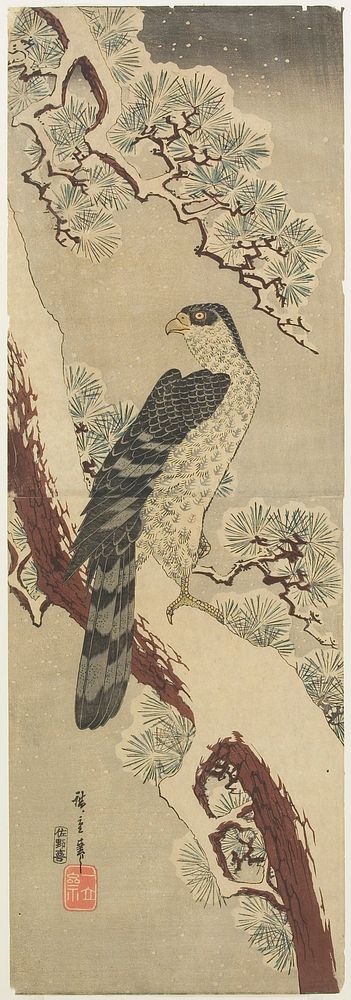 Falcon on Snow-covered Pine. Original from the Minneapolis Institute of Art.