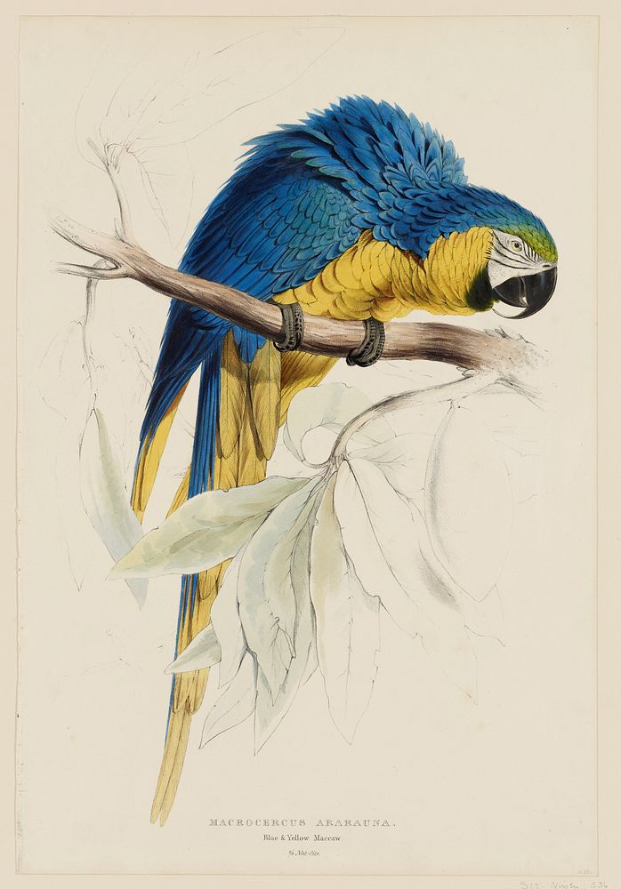 Birds. Original from the Minneapolis Institute of Art.
