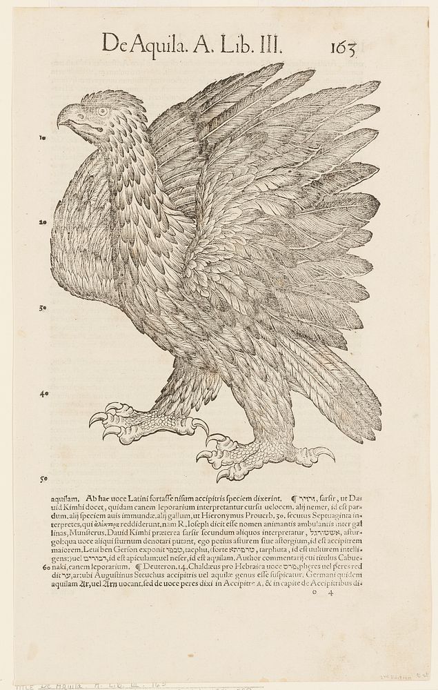 black and white; text on reverse side (eagle). Original from the Minneapolis Institute of Art.