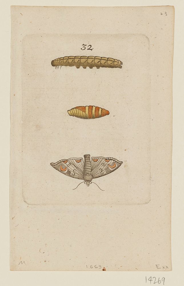 Plate 32. Original from the Minneapolis Institute of Art.