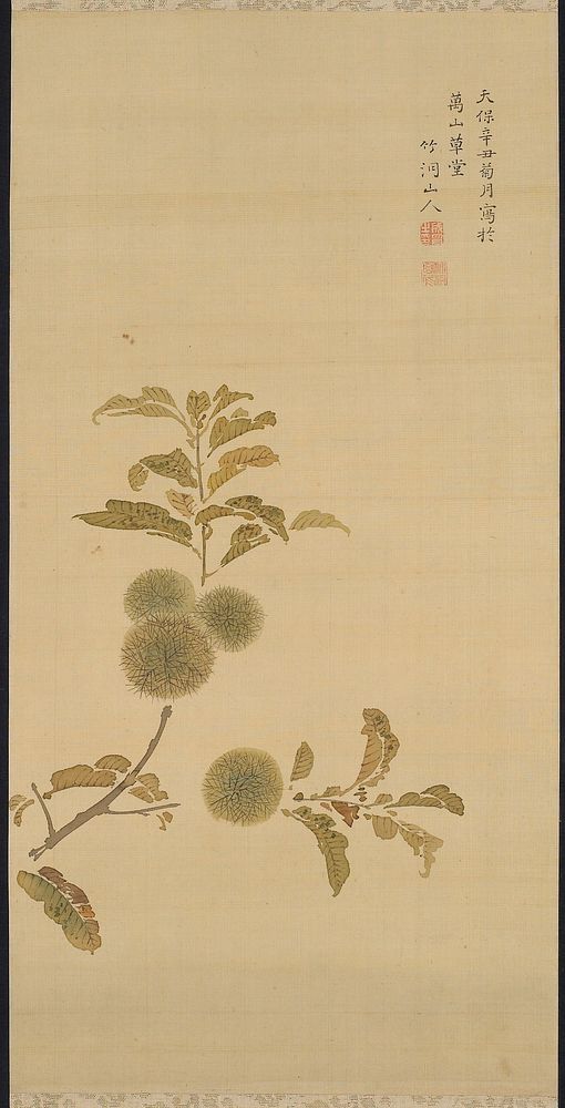 Branch with green and brown leaves and four wooly seed pods; inscription and two seals, URC. Original from the Minneapolis…