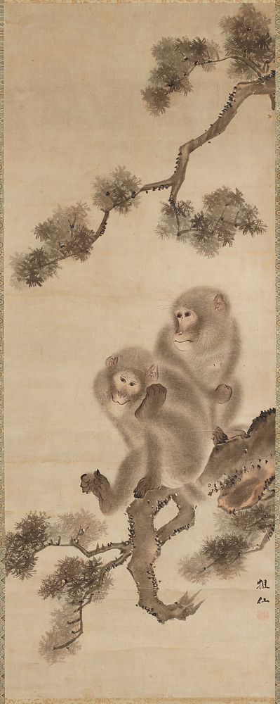 Two Monkeys in a Pine Tree. Original from the Minneapolis Institute of Art.