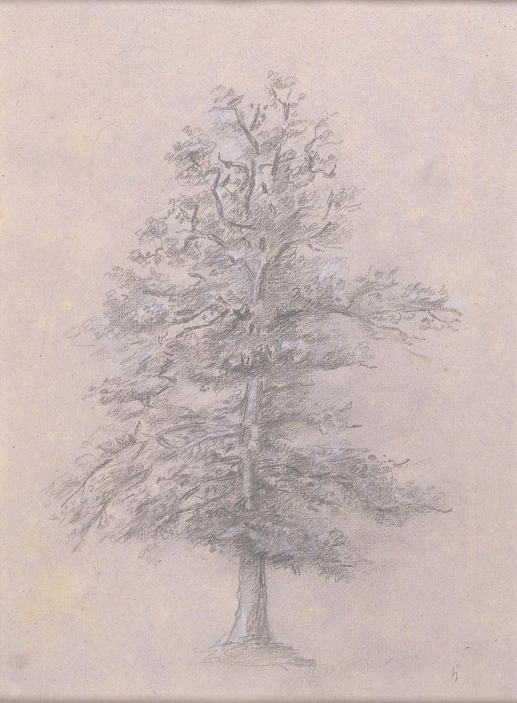 Tree Study. Original from the Minneapolis Institute of Art.