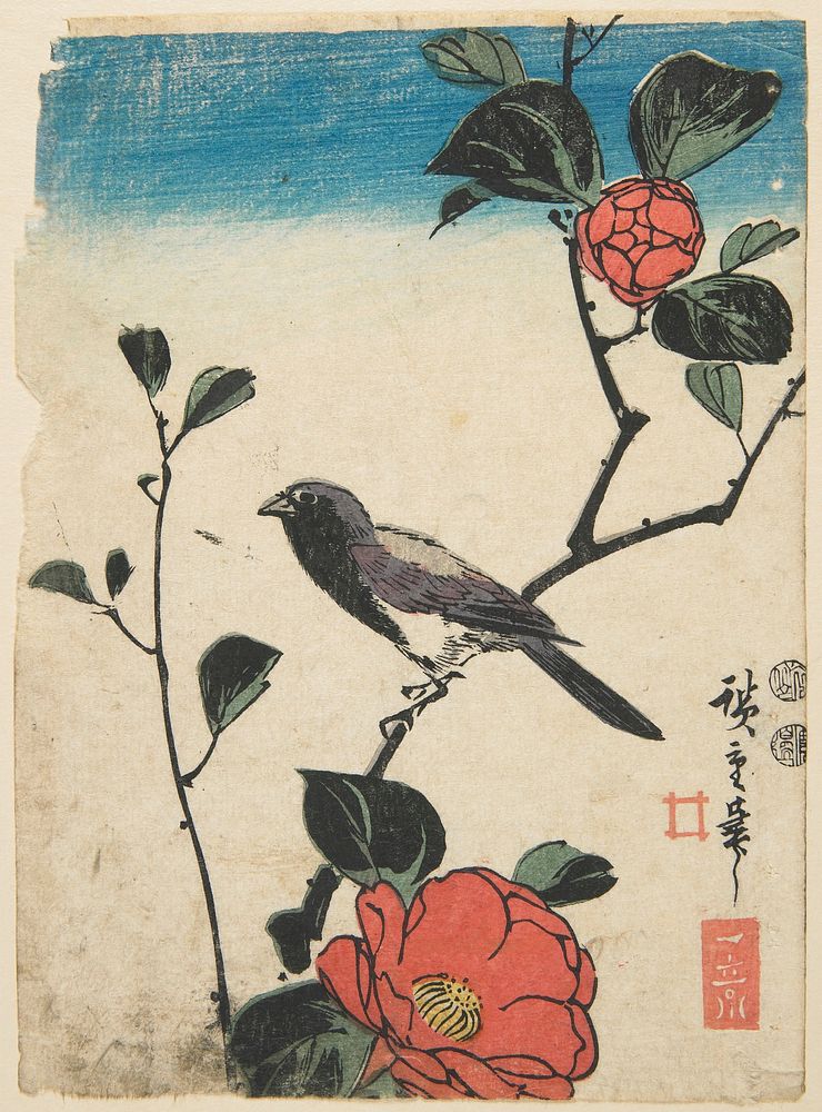 Bird on Camellia Branch. Original from the Minneapolis Institute of Art.