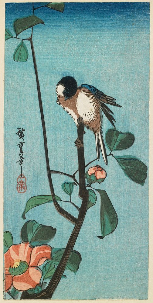 Japanese Tit on Camellia Branch. Original from the Minneapolis Institute of Art.