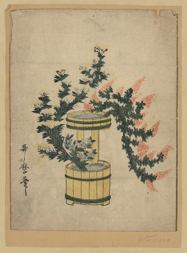 Akikusa no rikka. Original from the Library of Congress.
