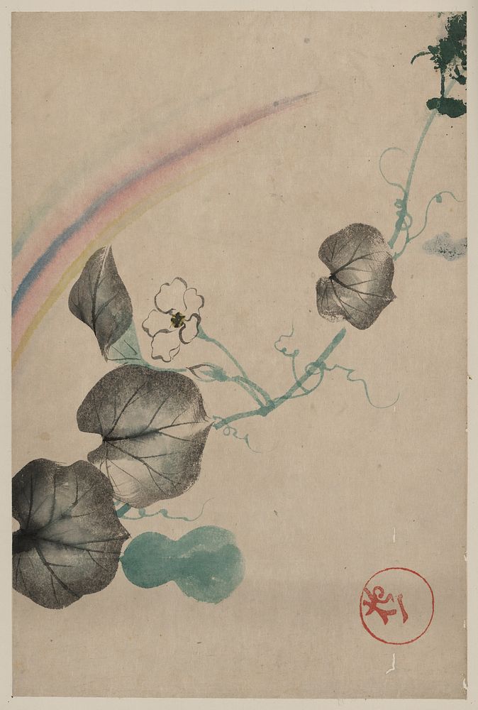 [Squash vine with blossom, squash, and rainbow, with publisher seal in lower right]. Original from the Library of Congress.