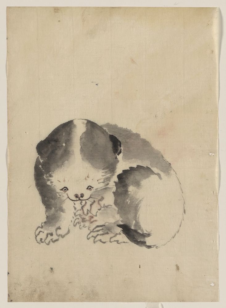 [A cat cleaning its claws]. Original from the Library of Congress.
