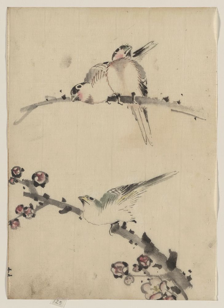 [Three birds perched on branches, one with blossoms]. Original from the Library of Congress.