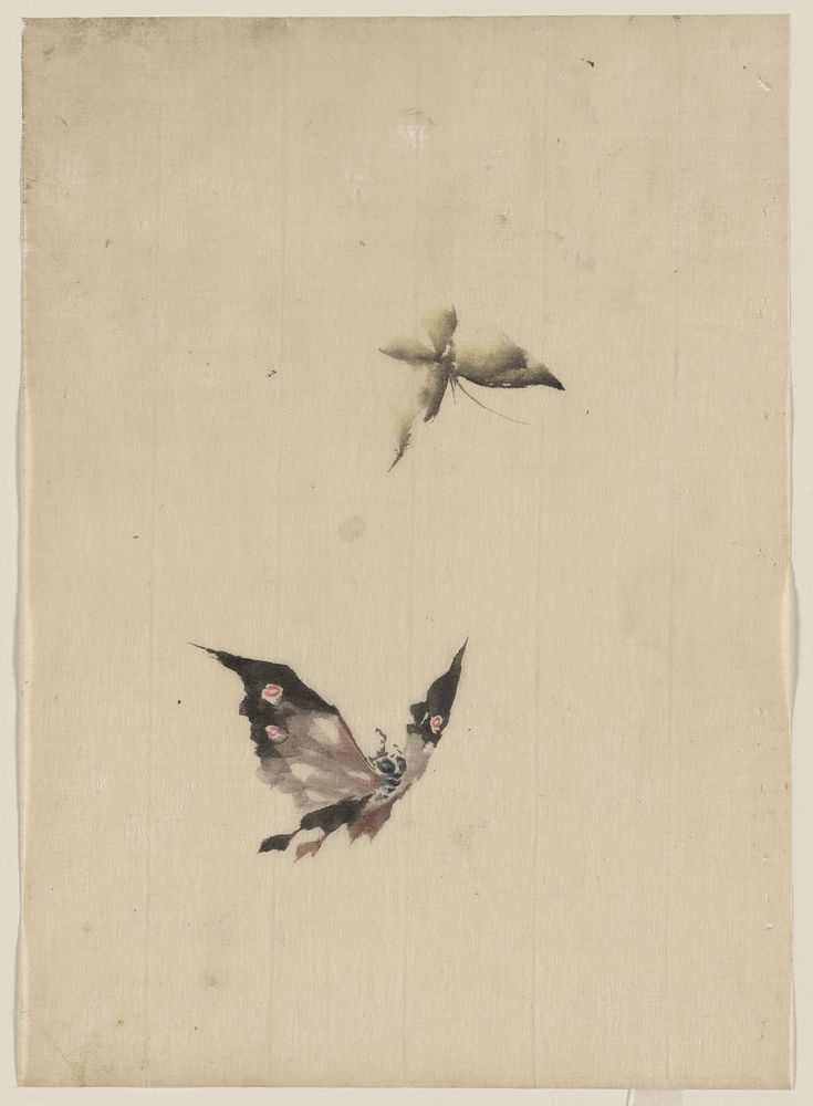 [Butterfly and moth]. Original from the Library of Congress.