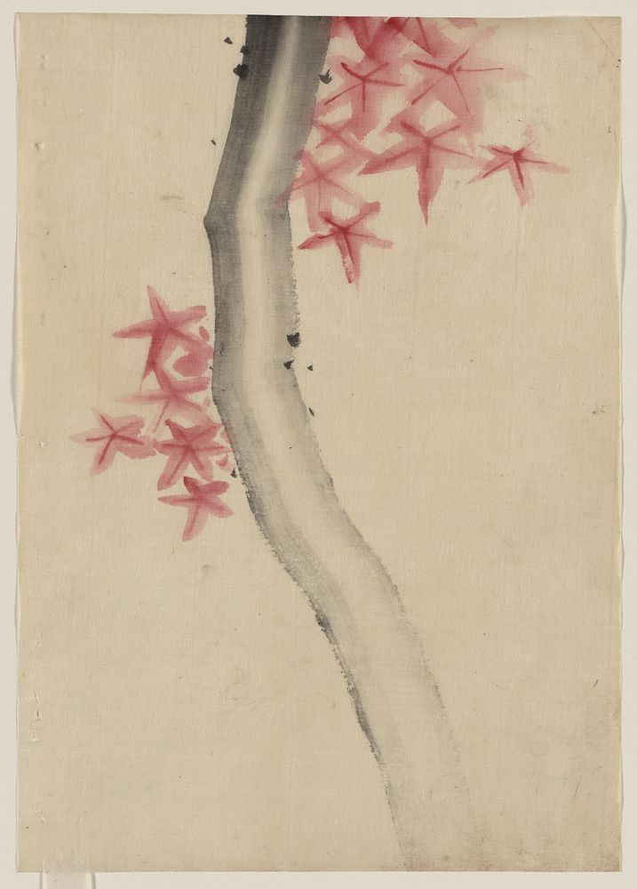 [Unidentified, possibly a tree branch with red star-shaped leaves or blossoms]. Original from the Library of Congress.