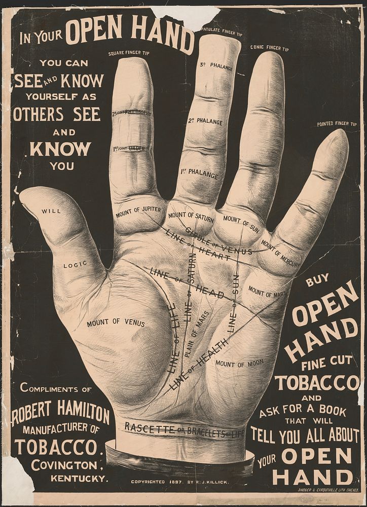 Open hand palm reading.