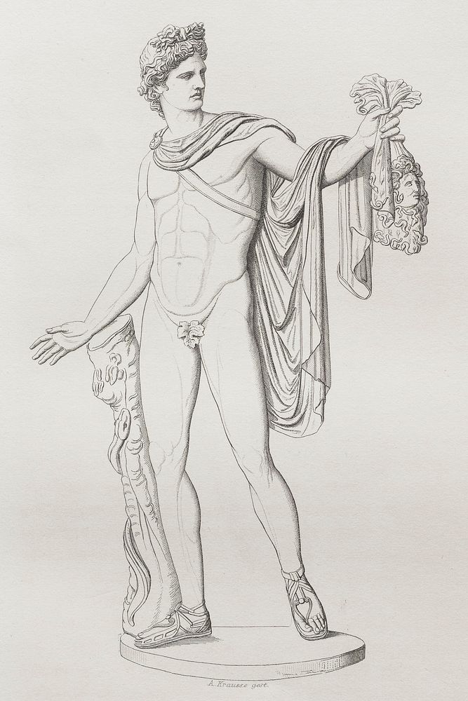 Der Apollon vom Belvedere Krausse n02