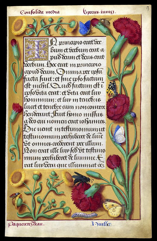Illuminated manuscript of the Grandes Heures of Anne of Brittany Queen of France (1477-1514).The text is the Last Gospel in…