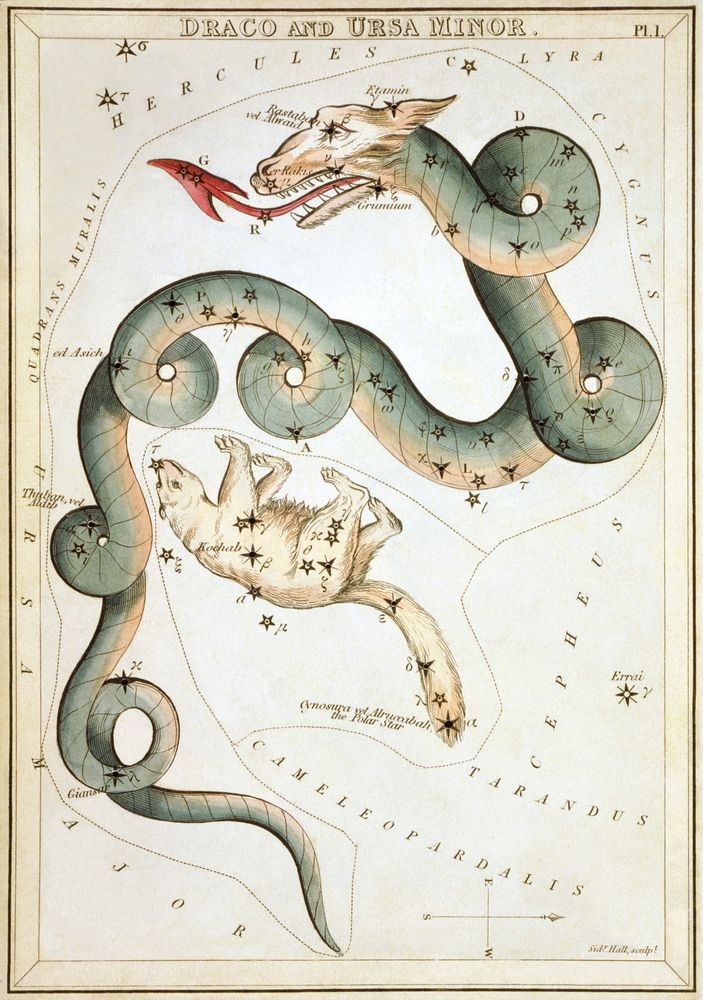 "Draco and Ursa Minor", plate 1 in Urania's Mirror, a set of celestial cards accompanied by A familiar treatise on astronomy…