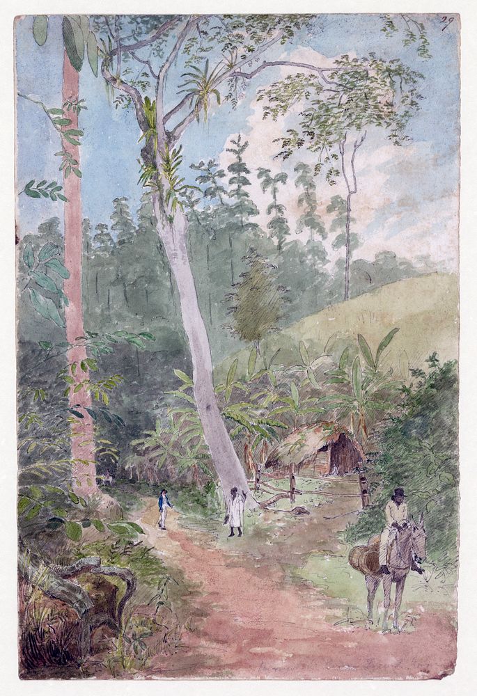 "Plantain Walk - Bookkeeper - Watchman and Hut - man with casks of water / greattoe in stirrup" Early landscape of Jamaica.