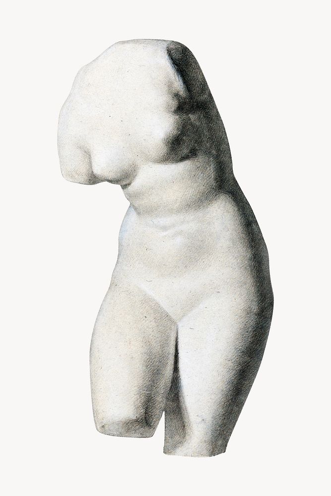 Female torso from plaster cast