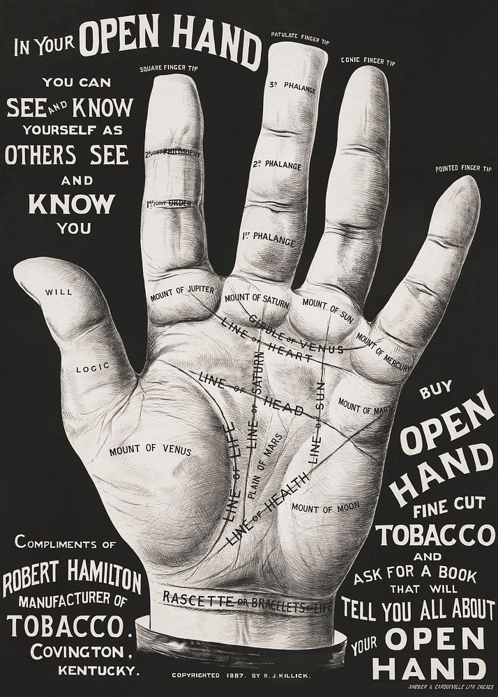 Open hand, palm reading. Original from the Library of Congress. Digitally enhanced by rawpixel.