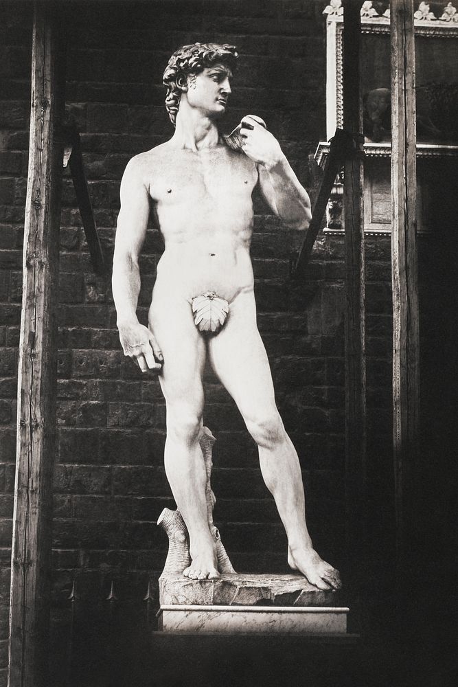 Michelangelo's sculpture of David (1850) by Fratelli Alinari. Original from The Minneapolis Institute of Art. Digitally…