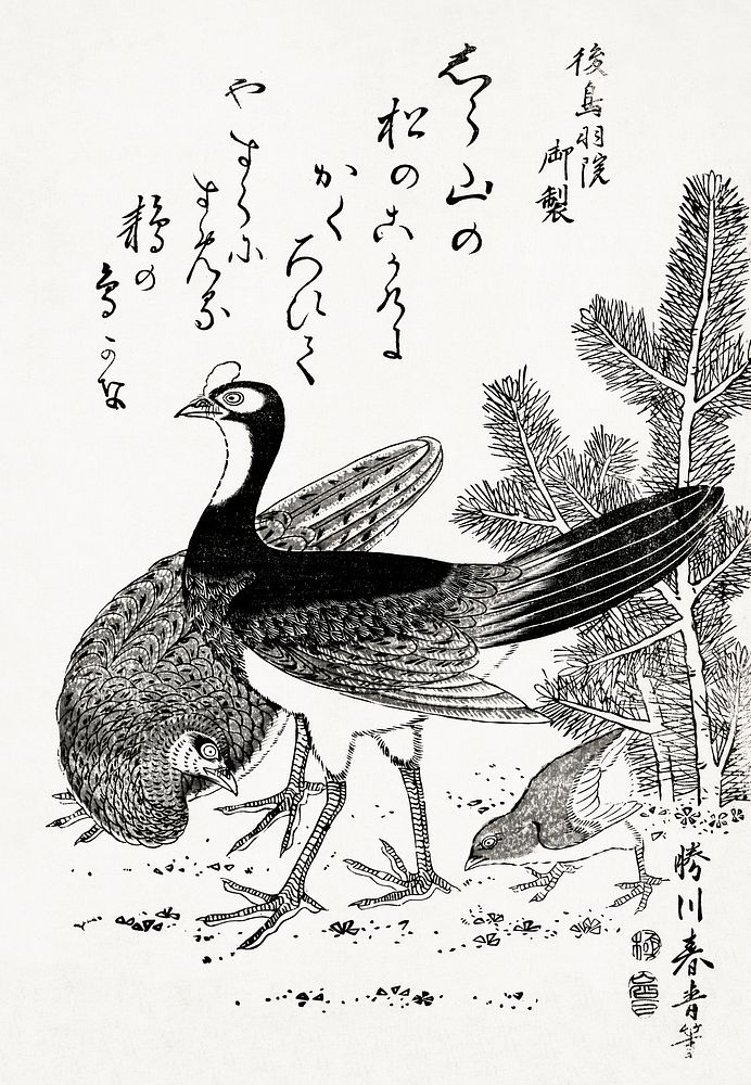 Wild bird (1804-1810) vintage Ukiyo-e style. Original public domain image from the Library of Congress.   Digitally enhanced…