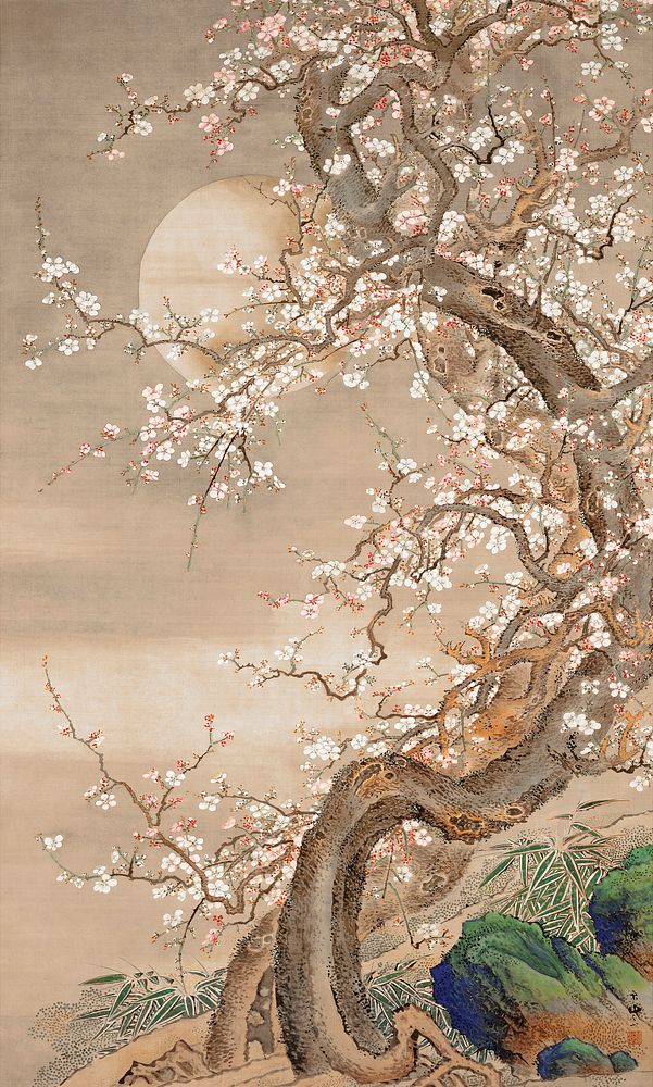 Japanese plum blossoms in moonlight (18th century) vintage ink and color on silk by Sō Shizan. Original public domain image…