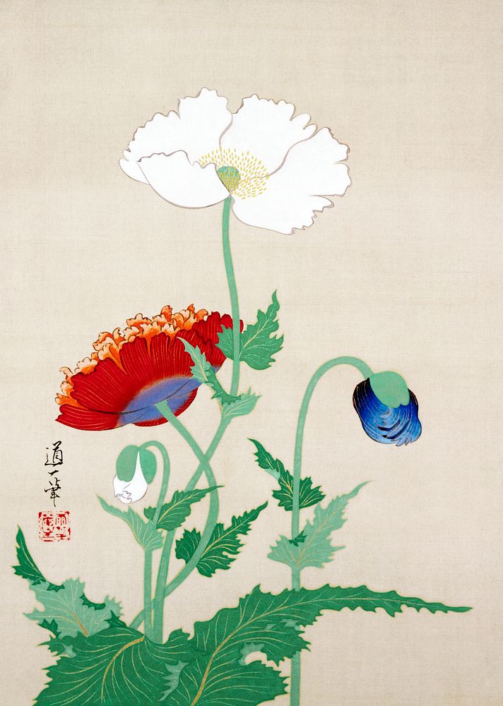 Japanese poppies (1845 - 1913) vintage ink and color on silk by Sakai Dōitsu. Original public domain image from the…
