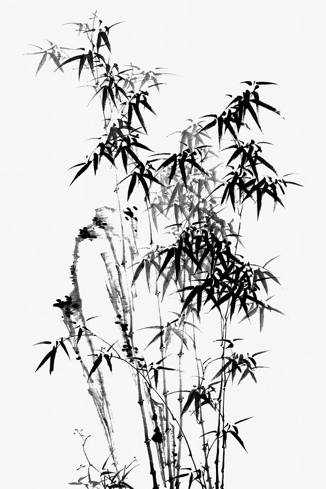 Japanese bamboo.   Remastered by rawpixel. 