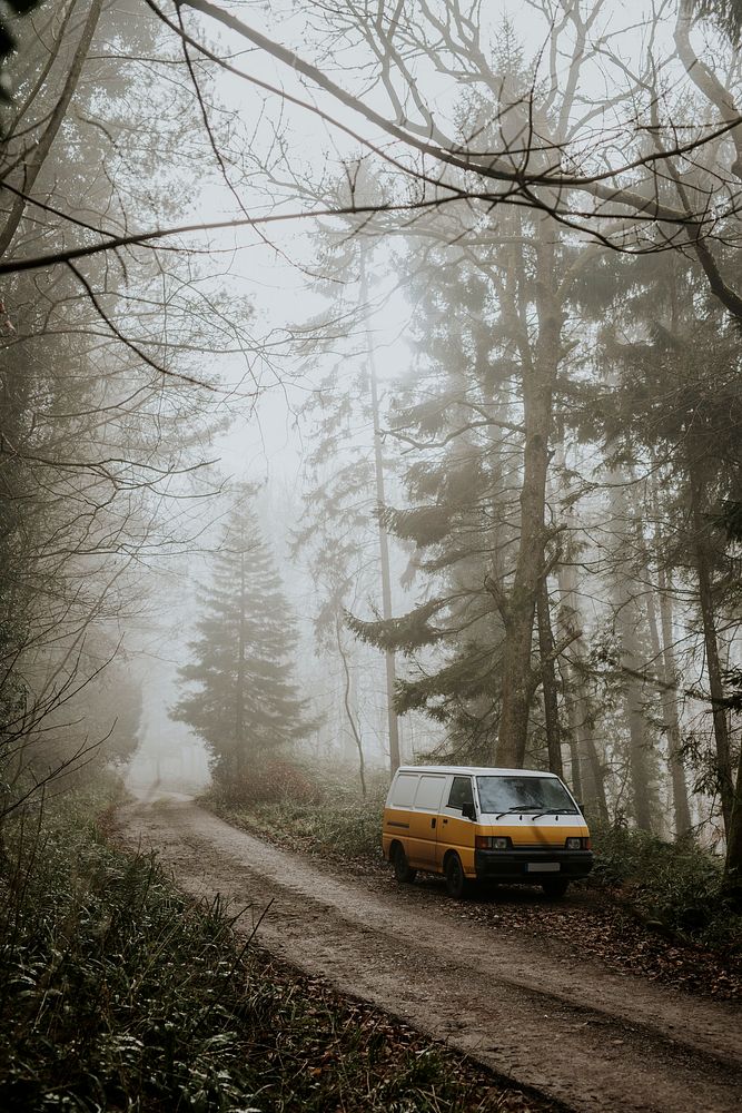Parked van in foggy forest, wilderness