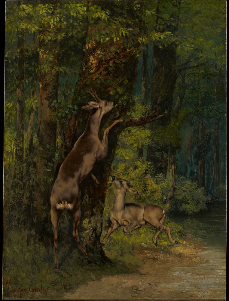 Deer in the Forest (1868) painting in high resolution by Gustave Courbet. Original from the Minneapolis Institute of Art. 