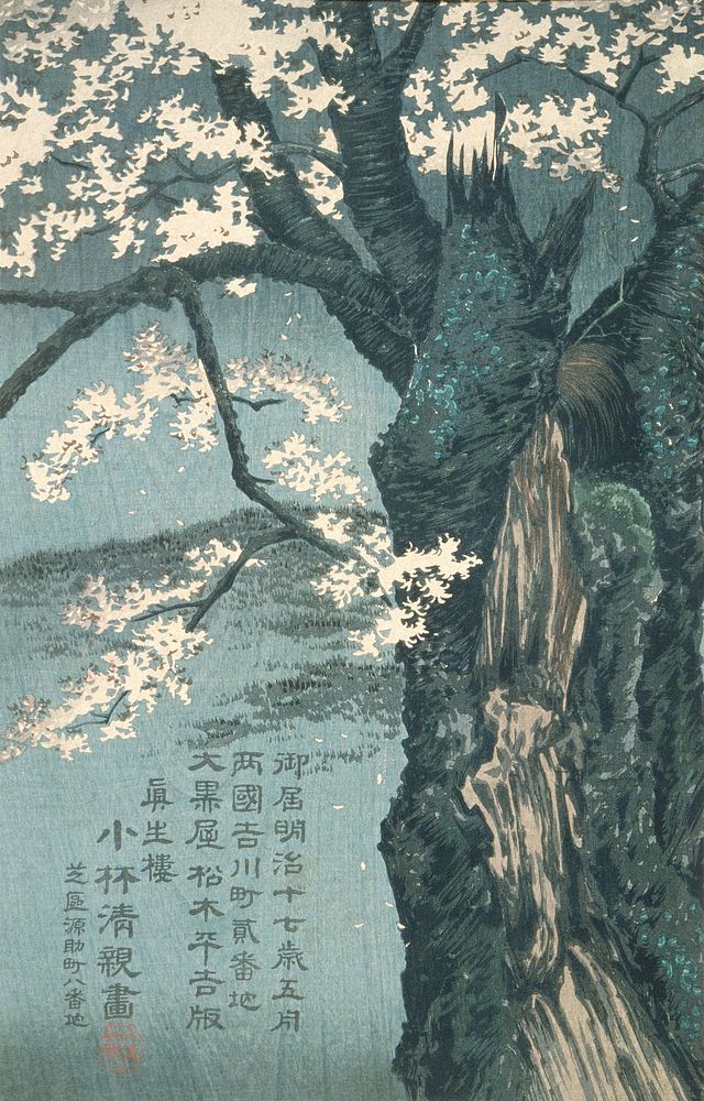 Kobayashi Kiyochika - Cherry Tree. Original from The Los Angeles County Museum of Art.