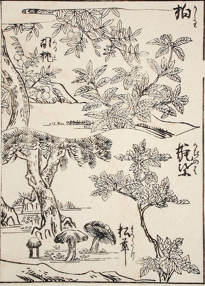 Three Plant Samples for Artists; English: Japan, 19th century Prints; woodcuts Black and white woodblock print. Original…