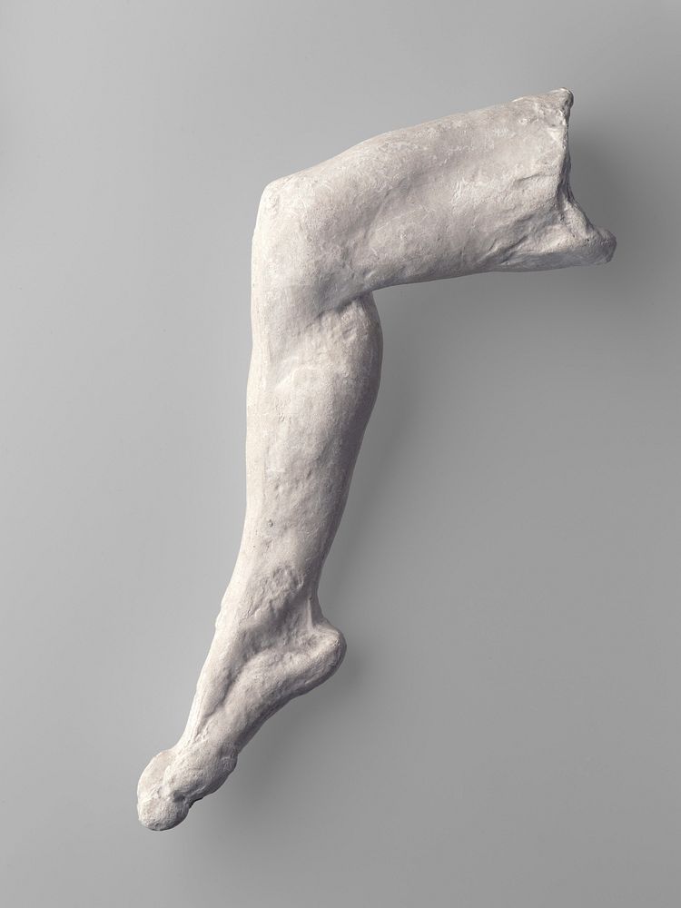 Study of a leg and foot