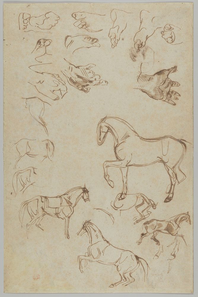 Studies of Horses, Hands, and Feet (recto); Studies of Heads and Figures (verso)
