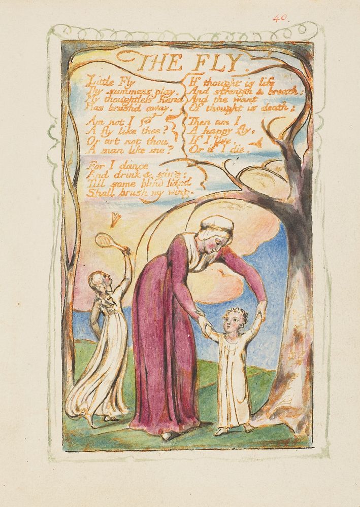 Songs of Innocence and of Experience: The Fly by William Blake