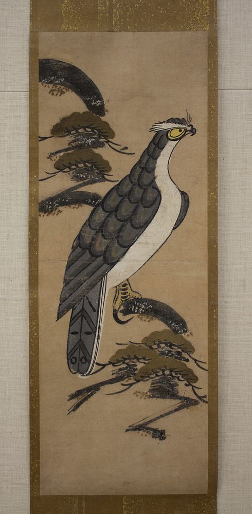Ōtsu-e of Falcon on a Pine Tree, Japan