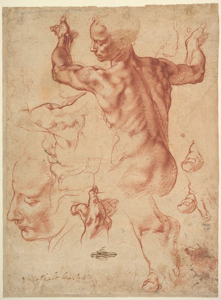 Studies for the Libyan Sibyl (recto); Studies for the Libyan Sibyl and a small Sketch for a Seated Figure (verso)