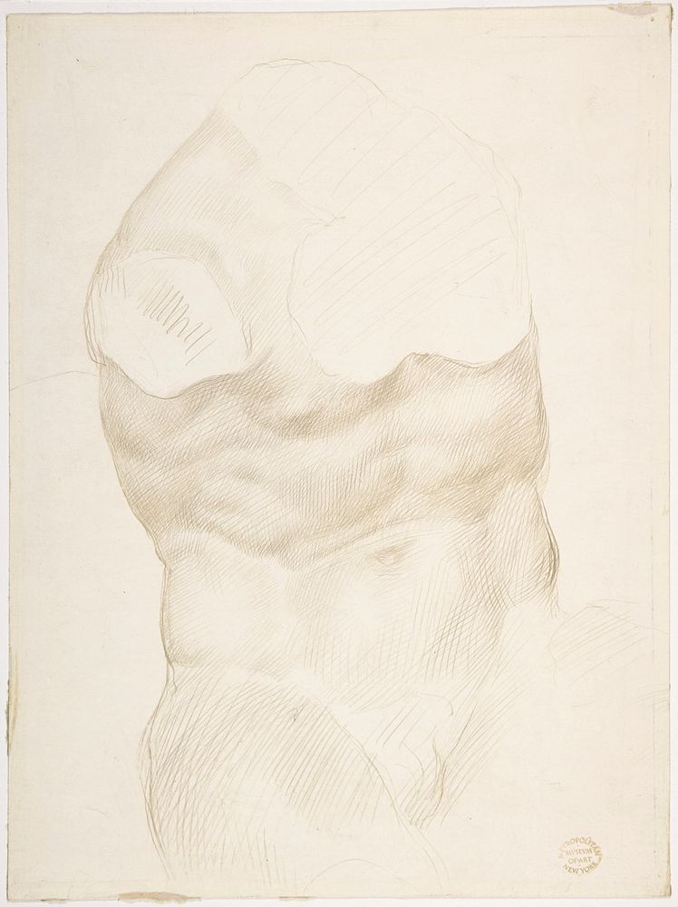 Torso of the Belvedere