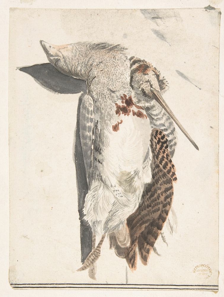 Two Dead Birds (A Quail and a Long-Beaked Bird)