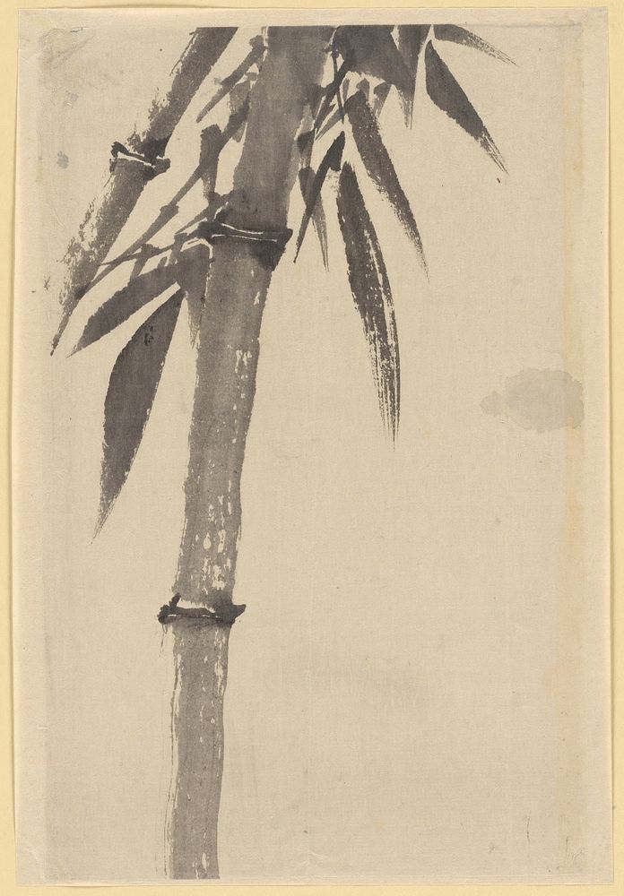 Bamboo, attributed to Katsushika Hokusai
