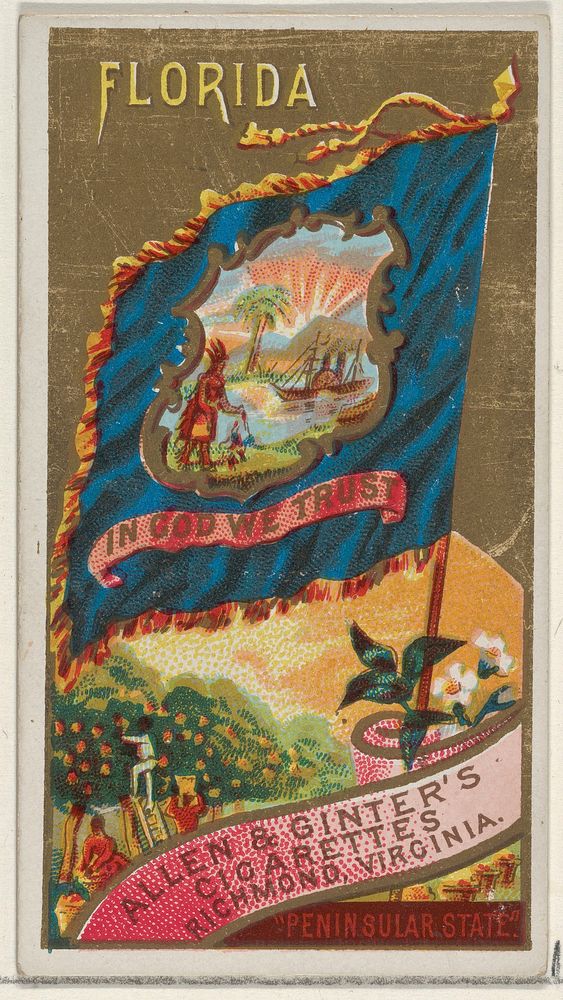 Florida, from Flags of the States and Territories (N11) for Allen & Ginter Cigarettes Brands
