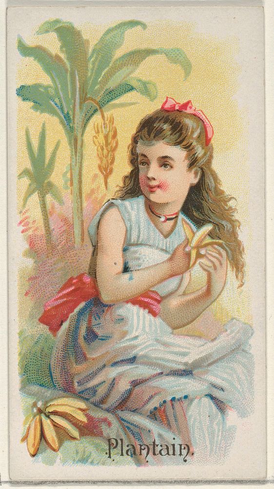 Plantain, from the Fruits series (N12) for Allen & Ginter Cigarettes Brands issued by Allen & Ginter, George S. Harris &…