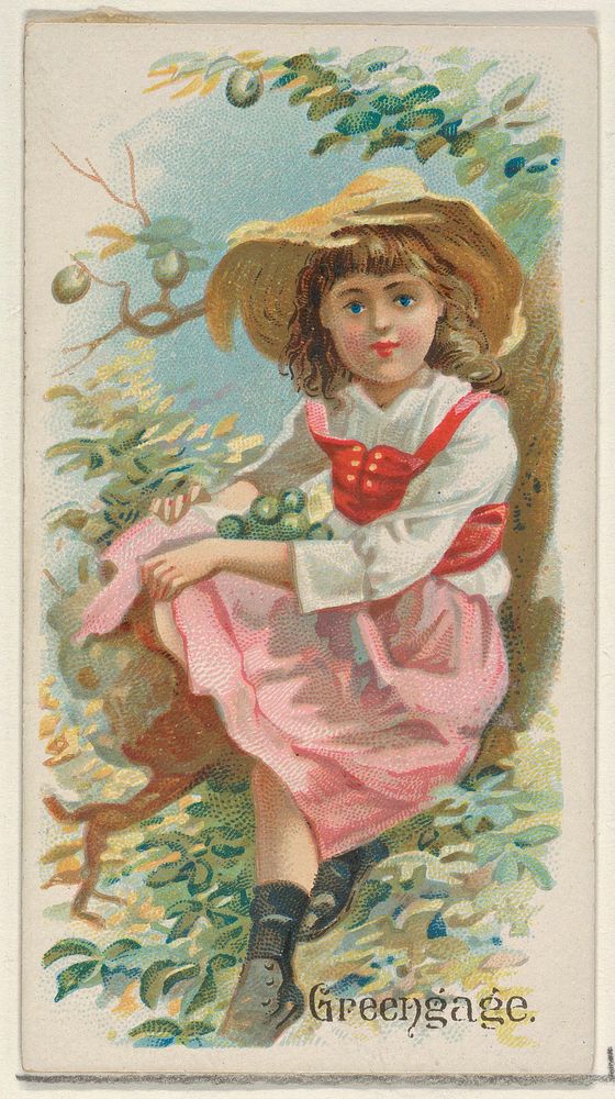 Greengage, from the Fruits series (N12) for Allen & Ginter Cigarettes Brands issued by Allen & Ginter, George S. Harris &…