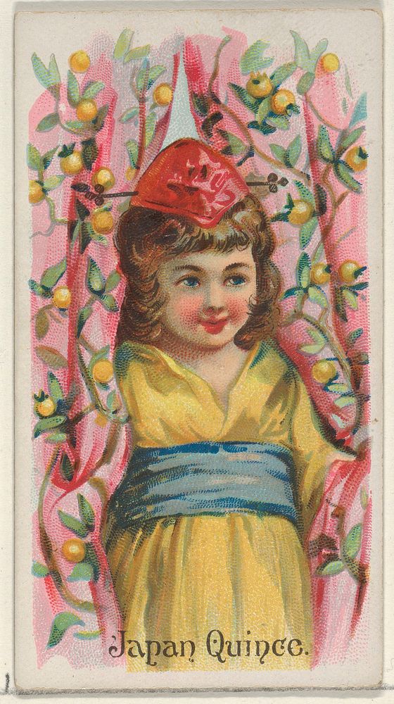 Japan Quince, from the Fruits series (N12) for Allen & Ginter Cigarettes Brands issued by Allen & Ginter, George S. Harris &…