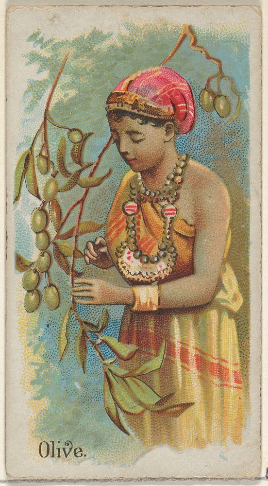 Olive, from the Fruits series (N12) for Allen & Ginter Cigarettes Brands