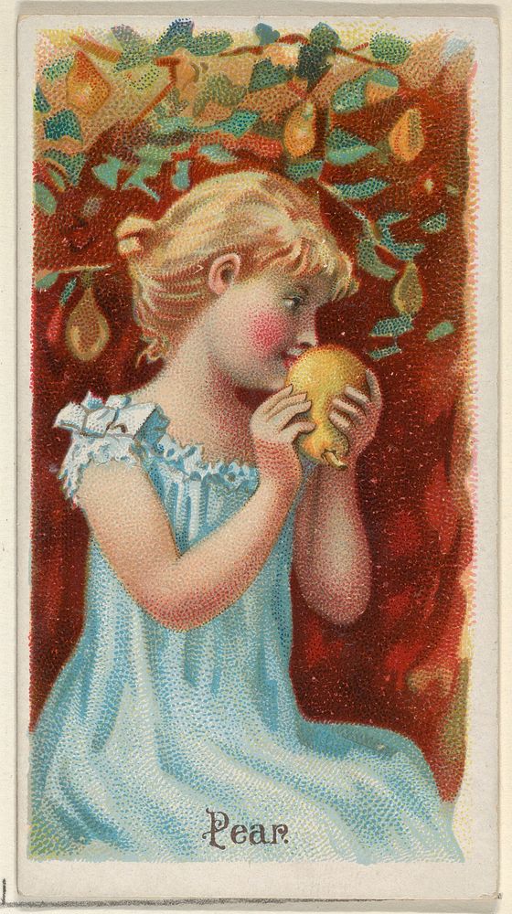 Pear, from the Fruits series (N12) for Allen & Ginter Cigarettes Brands