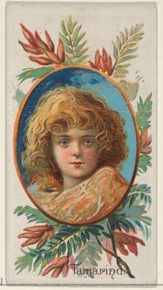 Tamarind, from the Fruits series (N12) for Allen & Ginter Cigarettes Brands issued by Allen & Ginter, George S. Harris &…